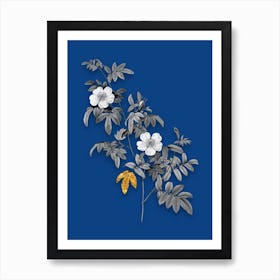Vintage Musk Rose Black and White Gold Leaf Floral Art on Midnight Blue n.0907 Art Print