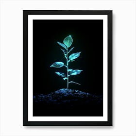 Green Plant On The Ground Art Print