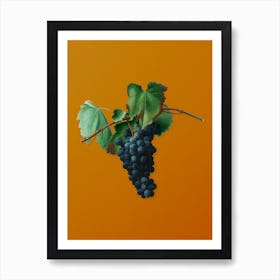 Vintage Grape Vine Botanical on Sunset Orange n.0555 Art Print