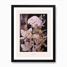 Flower Illustration Statice 2 Poster Art Print