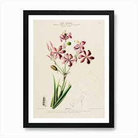 Pink Flowers 2 Art Print