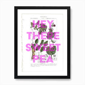 Hey There Sweet Pea Vintage Art Print