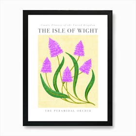 UK County Flowers Isle Of Wight Pyramidal Orchid Art Print