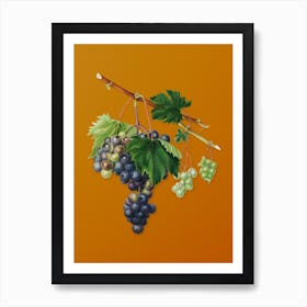 Vintage Grape from Ischia Botanical on Sunset Orange n.0628 Art Print