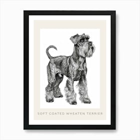 Soft Coated Wheaten Terrier Dog Line Sketch 1 Poster Art Print