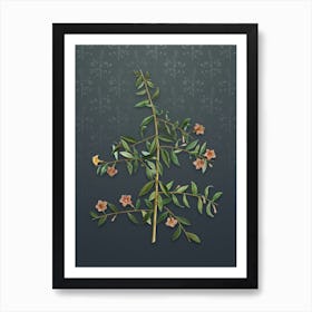 Vintage Goji Berry Botanical on Slate Gray Pattern Art Print
