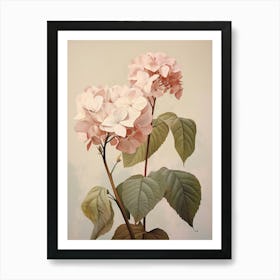 Floral Illustration Hydrangea 2 Art Print