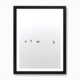 Floating Between Fog And Sea Art Print