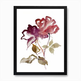 Rose Study 52 Art Print