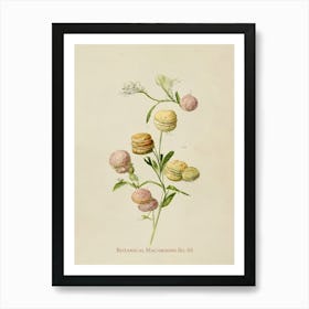 Vintage Botanical Macaroons 05 Art Print