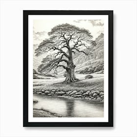 highly detailed pencil sketch of oak tree next to stream, mountain background 3 Art Print