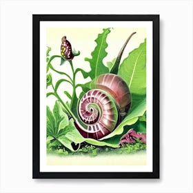 Garden Snail Feeding On Plants Botanical Art Print