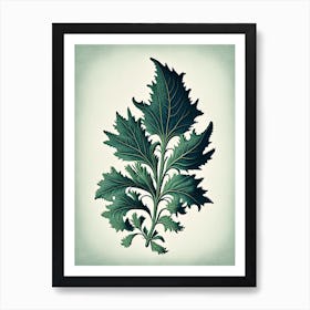 Pennyroyal Leaf Vintage Botanical 3 Art Print