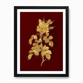 Vintage Four Seasons Rose in Bloom Botanical in Gold on Red n.0071 Art Print