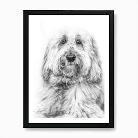 Black And White Dog Portrait 2 Art Print