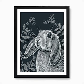 English Lop Rabbit Minimalist Illustration 1 Art Print