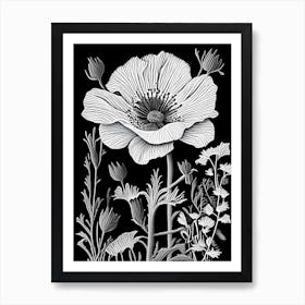 Matilija Poppy Wildflower Linocut 1 Art Print