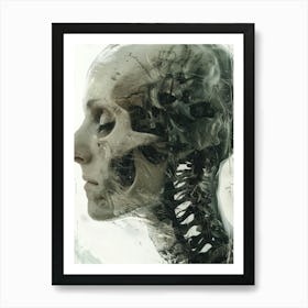 Skull And Skeleton Art Print