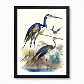 Rhamphorhynchus Watercolour Dinosaur Art Print