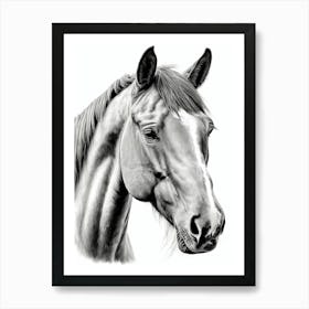 Highly Detailed Pencil Sketch Portrait of Horse with Soulful Eyes 1 Art Print