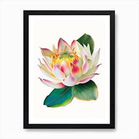 Early Lotus Decoupage 2 Art Print