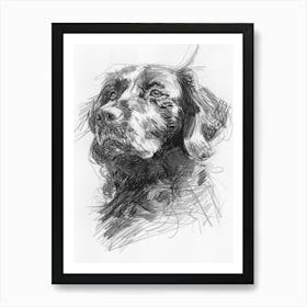 American Water Spaniel Dog Charcoal Line 2 Art Print