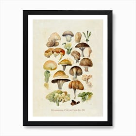 Mushroom Collection 02 Art Print