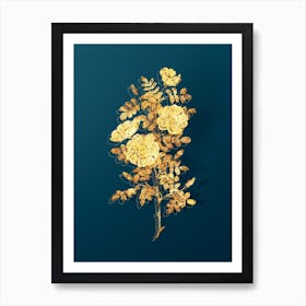 Vintage White Burnet Roses Botanical in Gold on Teal Blue n.0358 Art Print