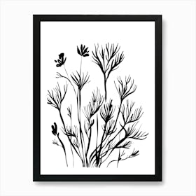 Black And White Drawing Of Plants Art Print