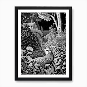 Chanticleer Garden, 1, Usa Linocut Black And White Vintage Art Print