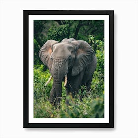 Elephant In The Wild Art Print