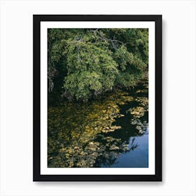 Lake And Tree Art Print