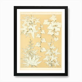 Vintage Pattern, Owen Jones            Art Print