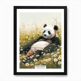 Giant Panda Resting In A Field Of Daisies Poster 4 Art Print