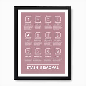 Stain Removal Instruction With Bohemian Laundry   Art Print