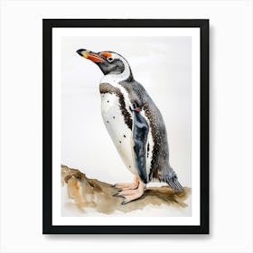 Humboldt Penguin Kangaroo Island Penneshaw Watercolour Painting 3 Art Print