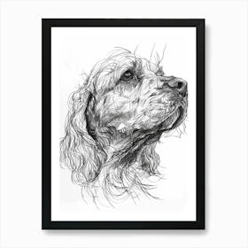 Clumber Spaniel Dog Line Sketch 2 Art Print
