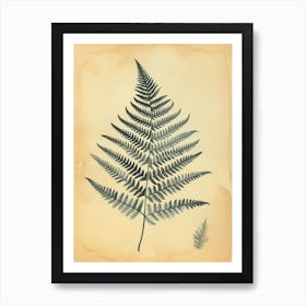 Vintage Illustration Silver Lace Fern 1 Art Print