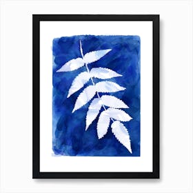 Cyanotype Botanical 4 Art Print