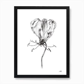 Black and White Flame Lilly 1 Art Print