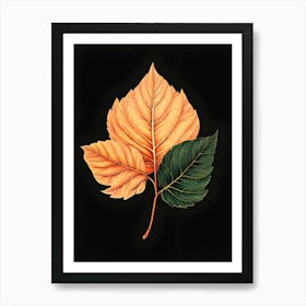 Autumn Leaves 13 Art Print