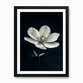 White Flower 18 Art Print