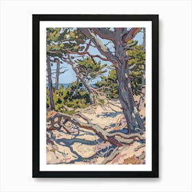 Pine Trees On The Beach Art Print