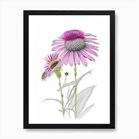 Echinacea Floral Quentin Blake Inspired Illustration 2 Flower Art Print