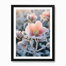 Frosty Botanical Christmas Rose 2 Art Print