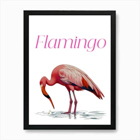 Flamingo 2 Art Print