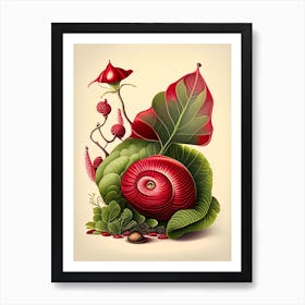 Snail With Red Background Botanical Art Print