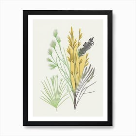 Fennel Seeds Spices And Herbs Minimal Line Drawing 9 Art Print