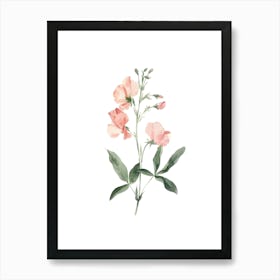 Sweet Peas Art Print