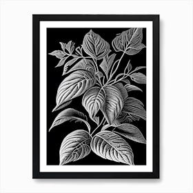 Lemon Balm Leaf Linocut 1 Art Print